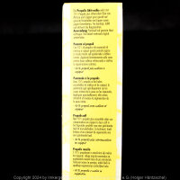 Propolis Aktivsalbe